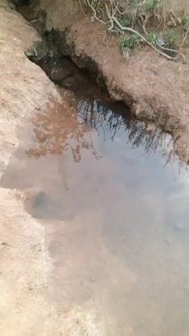 The video shows a small stream of water flowing through a narrow, earthen channel. The channel is bordered by reddish-brown soil and some sparse vegetation. The water is clear and reflects the sky and nearby trees. The camera pans slightly to show the source of the stream, which appears to be a small spring or seep in the bank. The area around the spring is dark and wet, with some decaying leaves and debris.