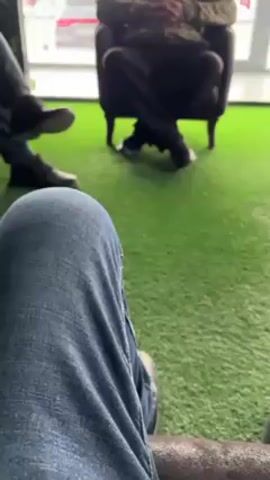 The video shows an indoor scene with artificial green turf on the floor. A person wearing jeans sits in the foreground with their knees visible. In the mid-ground, another person wearing dark trousers and a camouflage jacket sits in a dark-colored armchair. The person in the armchair is turned towards the seated person in the foreground, although their face is not fully visible. Another person is partially visible to the left of the person in jeans, wearing dark shoes. The background consists of a large window with an exterior view of cars and a building. The scene appears to be a casual meeting or discussion.