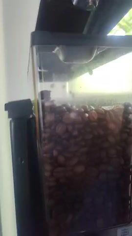 The video shows a close-up view of a transparent container filled with coffee beans. The container has a black lid and is attached to a black appliance, likely a coffee grinder or machine. The background is blurred, but appears to be a window with greenery visible outside, suggesting an indoor setting with natural light. The camera angles shift slightly, showing the container from different perspectives. The coffee beans are dark brown and appear to be whole. There is no visible interaction with the beans or the appliance. The lighting is natural and somewhat diffuse.
