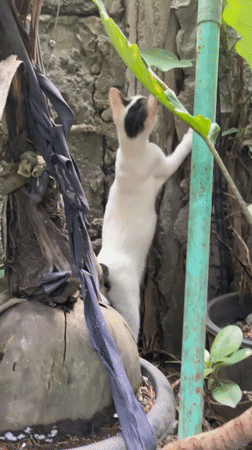 Morning life documented across Davao City neighborhoods
