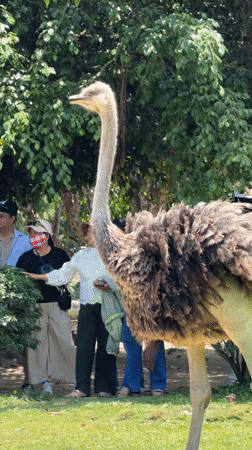Wildlife demonstrations draw crowds in Vietnamese coastal park