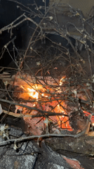 Evening bonfire gathering with grilled meal documented May 1