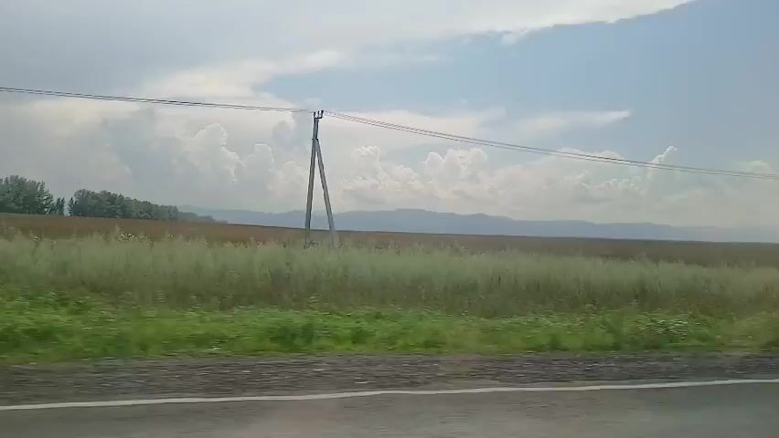 A side view from a moving vehicle shows a rural landscape. A paved road is visible in the foreground, with a white line marking its edge. To the right of the road is a grassy area with some taller weeds. Beyond the grass is a large agricultural field, with one section appearing brown and tilled, and another section covered in green vegetation. In the distance, a line of trees forms a dark border, and beyond that, rolling hills under a cloudy sky are visible. A single wooden utility pole with wires runs horizontally across the frame, extending from left to right. The sky is bright with scattered white clouds. The lighting suggests it is daytime.