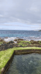 Coastal pool scene observed in Ponta Delgada