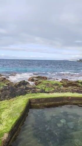 Coastal pool scene observed in Ponta Delgada