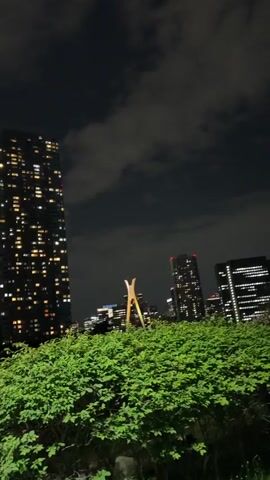 The video shows a nighttime view of a city skyline with several tall buildings illuminated by numerous windows. In the foreground, there is lush green foliage. A body of water, likely a river or bay, is visible in the mid-ground, reflecting the lights from the buildings and the sky. The sky is dark with some visible clouds. A tall lamppost is also present in the foreground on the right side of the frame. The overall impression is an urban landscape at night, characterized by the contrast between the dark sky and the bright city lights.