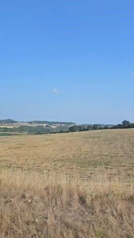 A vertical video captures a vast, golden field under a clear, bright blue sky. The field appears to be dry grass or harvested crops, with some taller stalks in the foreground. In the distance, rolling hills dotted with trees and some scattered buildings form the horizon. The scene suggests a rural landscape on a sunny day.