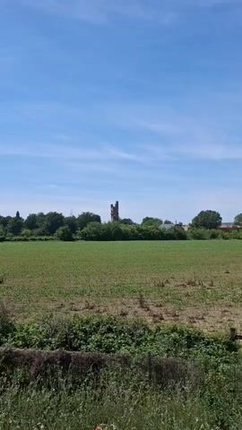 The video shows a tall, old tower rising above a field of green crops and surrounded by trees. The sky is blue with scattered clouds. The tower appears to be made of stone and has multiple levels and architectural details. The field is evenly planted, and the foreground shows some wild vegetation. The camera zooms in gradually on the tower.