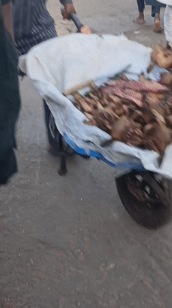 Daily life scenes captured across Nigerian communities