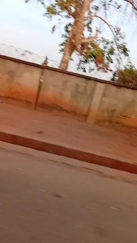 The video depicts a moving view from a vehicle, focusing on a concrete wall along the roadside. The wall is topped with barbed wire and has round and diamond-shaped decorations etched into its surface. A small tree is visible in the upper left corner. The road is dark grey.