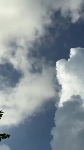 A vertical, eye-level shot pans across a deep blue sky filled with large, fluffy white clouds. In the upper left quadrant of the frame, a tiny, dark silhouette, possibly a bird or insect, is visible against the bright clouds. A few faint green leaves are visible in the bottom left corner, suggesting the vantage point is from below and possibly near trees. The overall lighting is bright, indicating daylight.