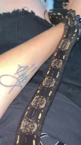 A close-up, static shot from above shows a person's bare forearm with a black script tattoo, and a dark-colored snake with tan and yellow patterns. The snake is partially coiled around the person's arm, with its head near the wrist, which wears a black beaded bracelet. The snake's body extends across the arm and over a dark fabric, possibly clothing on the person's leg. The snake slowly shifts its position. The person's upper thigh, wearing dark, possibly distressed fabric, is visible in the upper left corner.