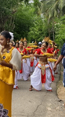 Traditional cultural procession winds through Hikkaduwa with dancers and elephant