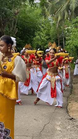 Traditional cultural procession winds through Hikkaduwa with dancers and elephant