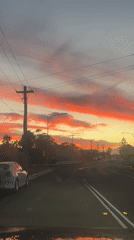 Evening drive captured on tree-lined street in Bulli