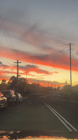 Evening drive captured on tree-lined street in Bulli