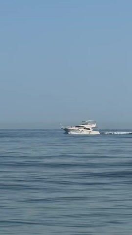 A white yacht with multiple levels is seen moving across a calm blue ocean under a clear sky. The yacht is creating a white wake behind it as it travels. The water is a deep blue with gentle ripples. The horizon is visible as a thin line between the sea and the sky.