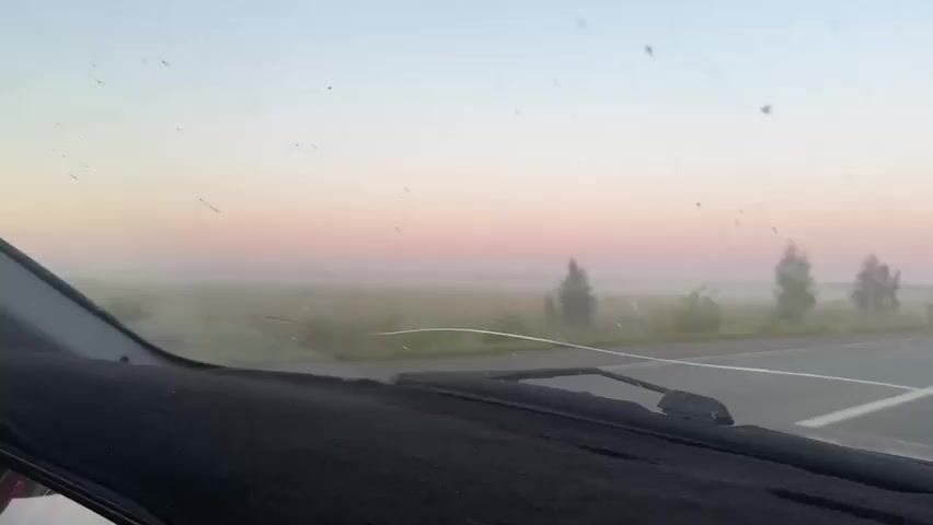 The video is filmed from inside a car, looking through the windshield. It is dawn or dusk, with a pale pink and blue sky. There is a light fog or mist over a rural landscape of fields and scattered trees. The car appears to be moving on a road, indicated by the white line visible on the right side of the frame. The windshield is dirty with several streaks and small dark marks. The dashboard is visible in the foreground.