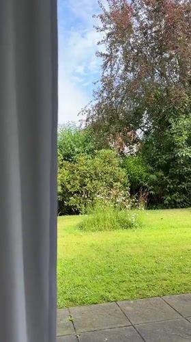 Red velvet heart and a curtained backyard view in Krefeld