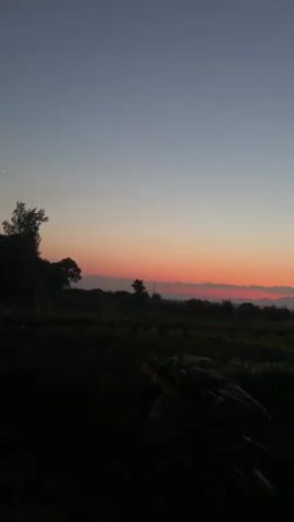 The video shows a rural landscape at sunset. The sky transitions from a pale blue at the top to a vibrant orange and pink band just above the horizon. Silhouettes of trees and a small, dilapidated structure are visible against the colorful sky. In the foreground, the scene is dark, with the shapes of plants and foliage barely discernible. The camera slowly pans slightly to the right, offering a wider view of the sunset and the darkened landscape.