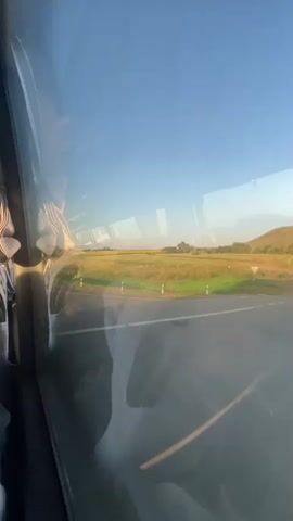 The video shows a view from inside a vehicle, looking out a window. The window reflects the interior of the vehicle, including what appear to be seats. Outside the window, a road runs alongside a field of tall grass and some trees. The sky is clear and blue, and the sun appears to be low in the sky, casting a warm light on the landscape. The vehicle is moving, as indicated by the motion blur in the scenery outside the window.