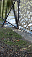 Spring morning wildlife and blooms observed at Sandanski park