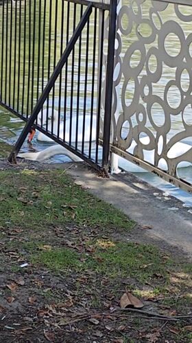 Spring morning wildlife and blooms observed at Sandanski park
