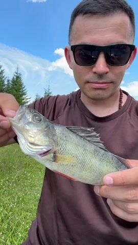 A person wearing sunglasses and a brown shirt holds up a small fish with both hands. The fish is light green with dark stripes and red fins. The person's face is partially obscured by sunglasses. In the background, there is a grassy field and a bright blue sky with some clouds and trees. The person makes a few facial expressions, including a pout and a smile.