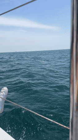Boat journey recorded off Herzliya coast with city skyline