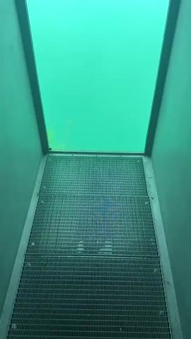 This is a vertical video shot from a slightly elevated position looking down through a grated metal floor into clear, turquoise water. The water appears to be deep, as no bottom is visible. The walls of the structure are a muted green color. At the very beginning of the video, a glimpse of what appears to be two pairs of feet can be seen on the grated floor, suggesting that people are looking down into the water.