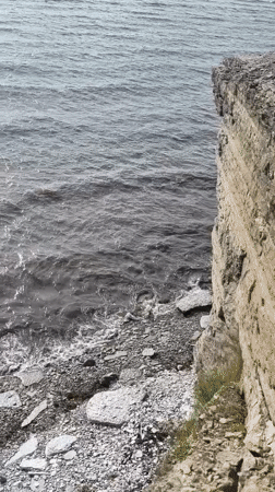 Baltic coastline in Paldiski: rocks, wildflowers, and open water