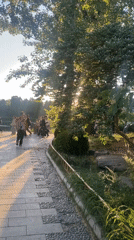 People walk along waterside stone pathway in Beijing park