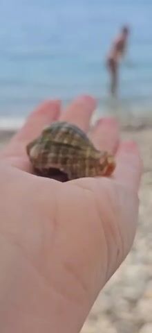 A close-up shot shows a person's hand holding a seashell on a beach. A hermit crab emerges from the shell, revealing its legs and antennae before retreating back inside. In the background, the ocean is visible with gentle waves and a blurry figure standing in the water. The lighting suggests it is daytime.
