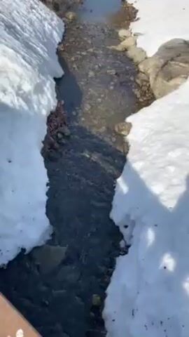The video shows a small stream flowing through a snowy landscape. The stream is narrow and shallow, with visible rocks and pebbles on the bottom. Snow banks line both sides of the stream, and there are some bushes visible in the background. Beyond the immediate area, a snow-covered field is visible, with city buildings in the distance. The sky is clear and blue. The camera slowly tilts upward to provide a broader view of the surroundings.