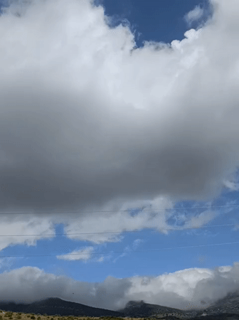 Spring flowers and cloudy landscapes documented in Ouaouizert, Morocco