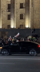 Flag-wielding crowd gathers at illuminated Tbilisi government building
