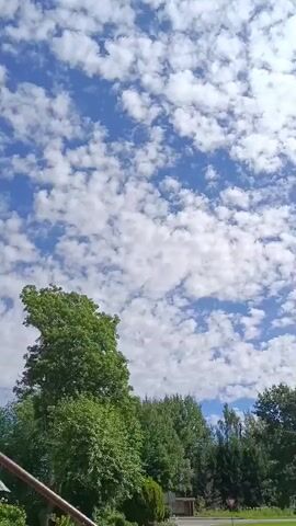 The video shows a cloudy sky with patches of blue visible. Trees and foliage are visible in the lower part of the frame, with a small building or structure in the background. The scene appears to be outdoors on a sunny day.
