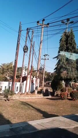 A series of utility poles with numerous wires are visible against a clear blue sky. The poles are of varying heights and appear to be made of wood and concrete. Some poles are leaning at an angle. The ground in the foreground is covered with grass and a paved area. In the background, there is a white building with a fence, trees, and more utility poles. Sunlight casts shadows on the grass. The scene appears to be an outdoor urban or suburban environment.