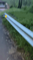 Roadside vegetation filmed along guardrail in Zlatograd, Bulgaria