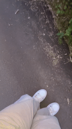Roadside vegetation filmed along guardrail in Zlatograd, Bulgaria