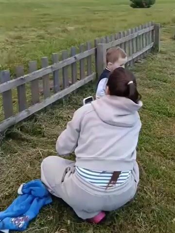 The video shows a woman crouching in a grassy field, holding a smartphone and appearing to film. A young child, likely a toddler, stands next to her, leaning against a wooden fence. The child is wearing a dark vest over a white shirt with a "V" logo. The woman is wearing a light-colored hooded sweatshirt and sweatpants. A blue blanket is visible on the ground near her.

The scene is set in a rural outdoor environment. A weathered wooden fence runs diagonally across the frame. Beyond the fence, there is a large, open grassy area with a few scattered trees. In the distance, a small evergreen tree stands out. The sky suggests it is daytime, possibly late afternoon or early evening, with overcast conditions indicated by the soft lighting. The overall atmosphere seems casual and familial, with the woman focused on capturing a moment with the child. The child appears to be looking towards the camera or the woman. There is no visible text in the video.