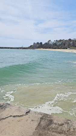 Peaceful morning beach scene documented in Varna, Bulgaria