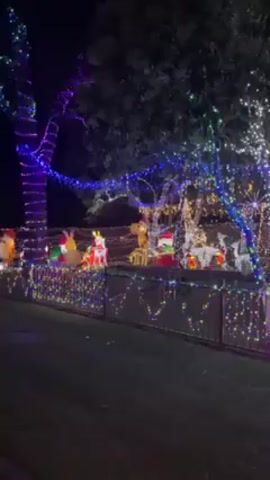 A young woman with blonde hair walks towards a house heavily decorated with Christmas lights. The house is entirely covered in lights, outlining its structure and illuminating the surrounding trees and lawn. Inflatables of Santa Claus and other Christmas characters are visible on the lawn. The camera follows the woman as she expresses excitement and appreciation for the elaborate Christmas display. The scene takes place at night.