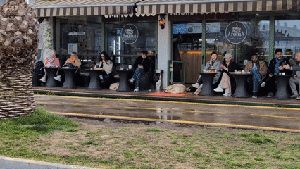 Cafe patrons use phones while dogs rest at Batumi establishment