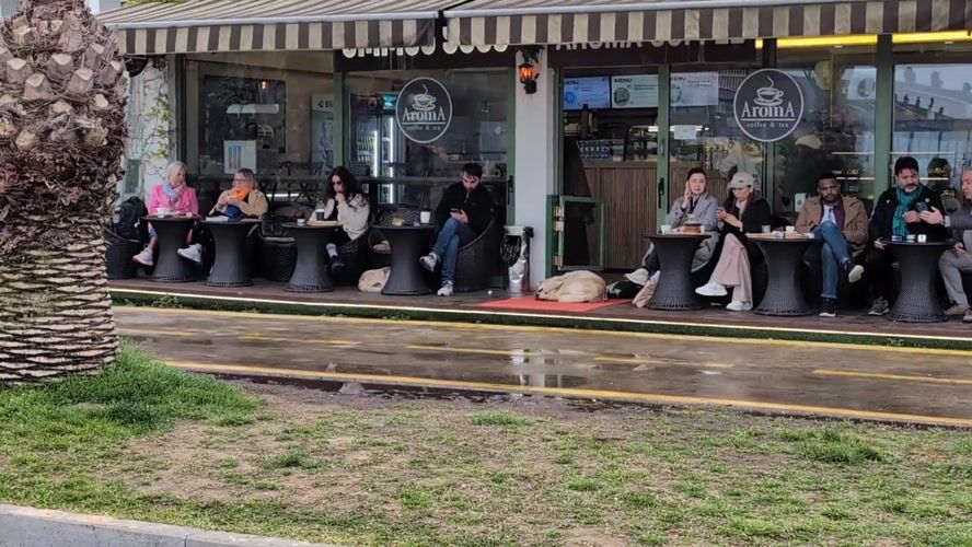 Cafe patrons use phones while dogs rest at Batumi establishment