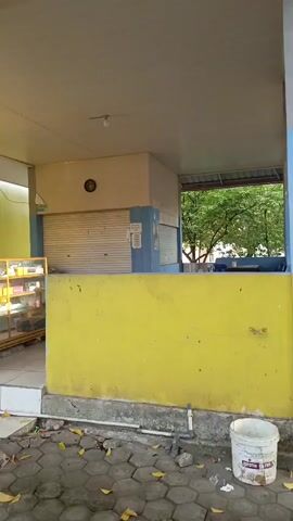 The video shows a view from behind a bright yellow wall, looking towards a small building with a white and beige facade. The building has a roll-up metal door that is closed. To the left of the building, there is a glass display case filled with various items. The area in front of the building is paved with hexagonal interlocking stones and littered with fallen leaves. A white bucket is visible near the bottom right corner of the frame. The scene appears to be outdoors, possibly in front of a shop or stall, with sunlight casting shadows.