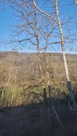 The video shows a landscape seen through the window of a moving vehicle. The foreground includes leafless trees and shrubs, indicating it might be late autumn or winter. Beyond the trees, there is a green field, and further in the distance, a wooded hillside can be seen. On the hilltop, there are what appear to be buildings, possibly a castle or a similar structure. The sky is clear and blue, suggesting a sunny day. As the video progresses, a metal railing is visible, suggesting that the view is from a train or a similar mode of transportation.