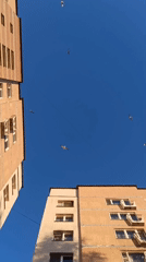 Birds fly over apartment buildings in Hrodna under blue sky