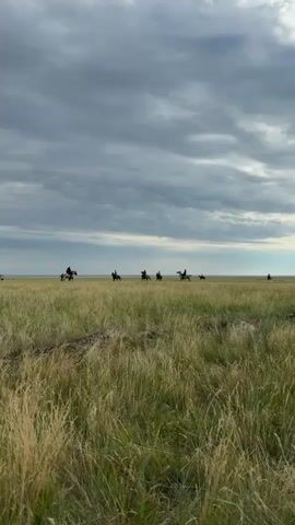 A group of people on horseback are riding through a wide, grassy field under a cloudy sky. The grass is tall and appears golden and green. The riders are spread out, with some closer together and others further apart. The horizon is visible in the distance, with a faint line that may be water or a distant landscape. The sky is filled with large, dramatic clouds. The video captures a sense of open space and movement.