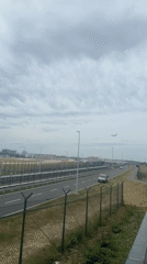 Frankfurt area scenes: airport views, highway traffic, forest beetle